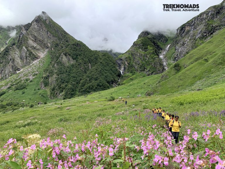 45 Stunning Pictures of The Valley of Flowers Trek in the Monsoons