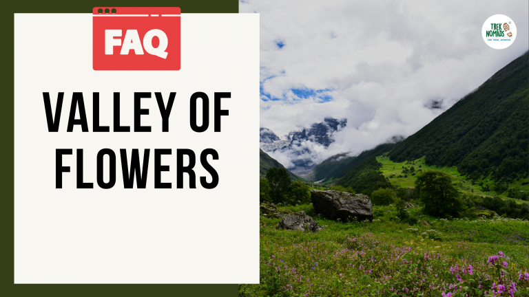 Valley of Flowers Frequently Asked Questions – Answered!