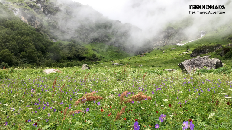 Preparing for the Valley of Flowers Trek – The Complete Fitness Guide