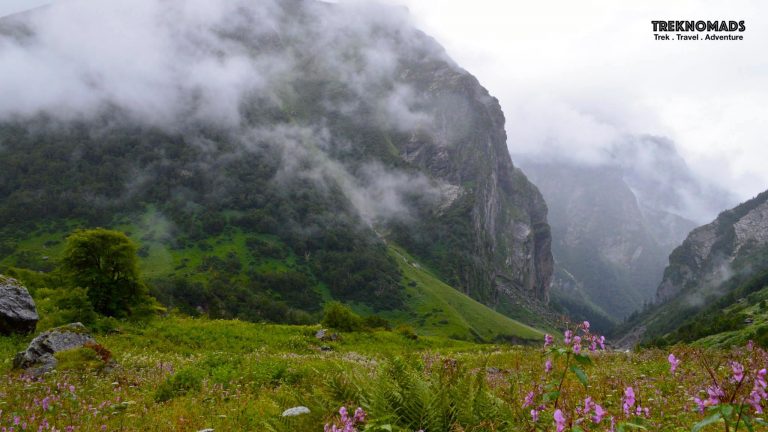 valley of flowers trek