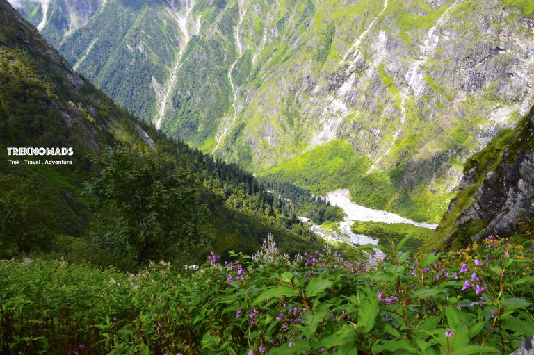 Hemkund Sahib Trek Route - Valley of Flowers, Uttarakhand