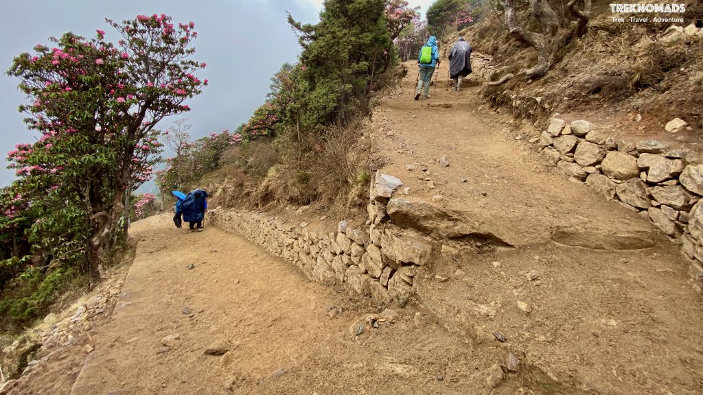 Tengboche Trail