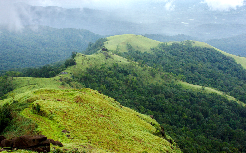 Kurinjal trek