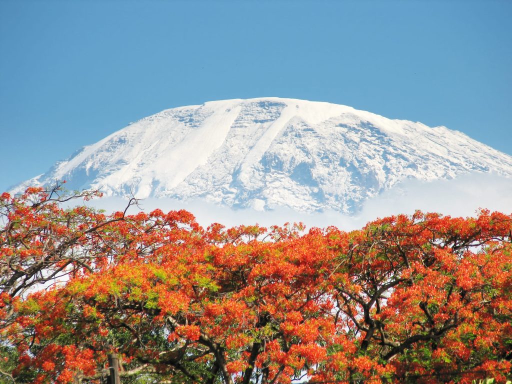 kilimanjaro expedition