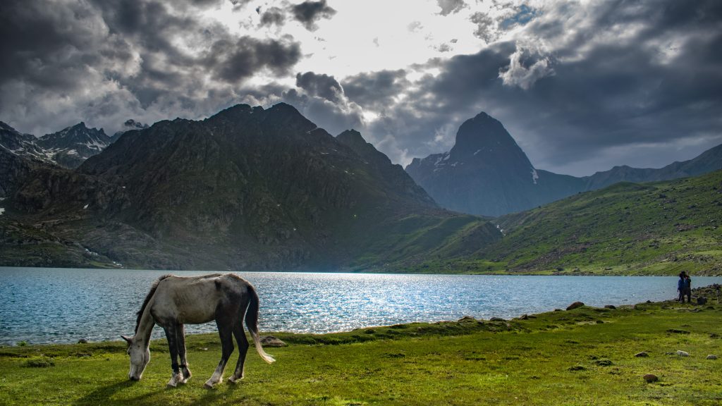 kashmir great lakes trek