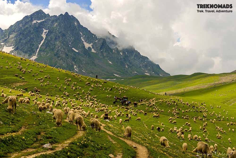 kashmir lake trek