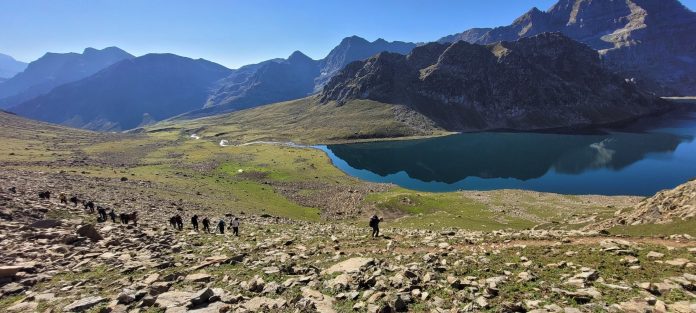 Tarsar Marsar trek