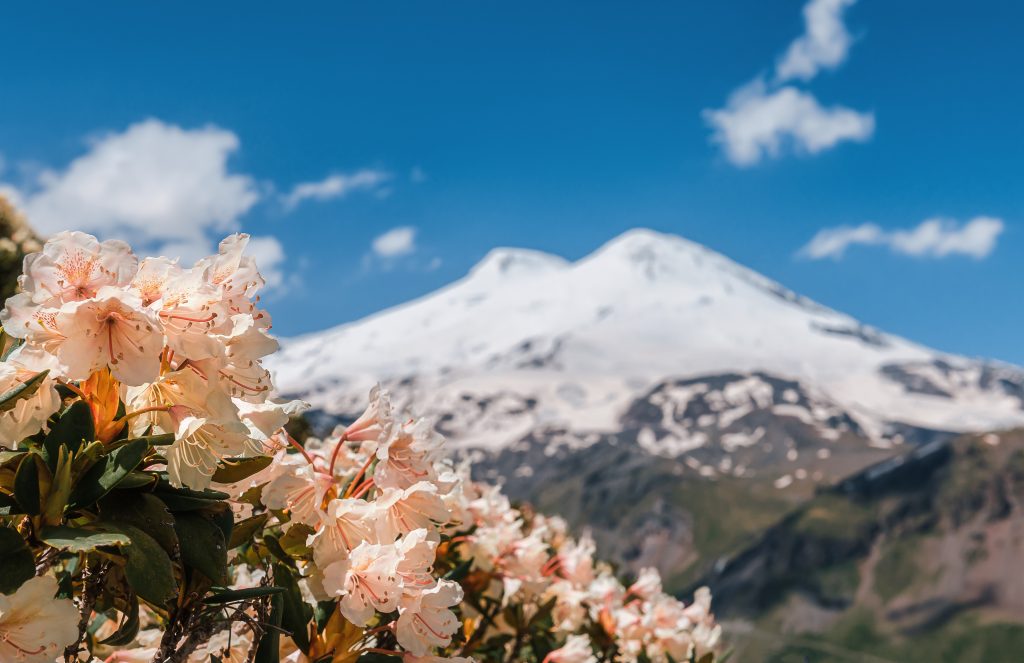 elbrus trekking expedition